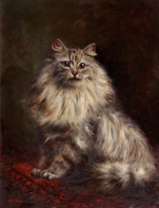 Persian Cat, c.1908-20dani af Agnes Augusta Talboys