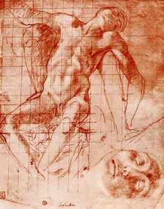 Studier, 1913. af Agnolo Bronzino