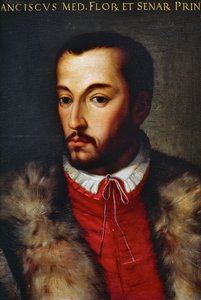 Portræt af Francesco I de Medici (Firenze