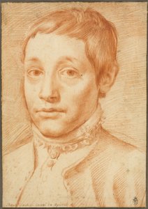 Portræt af kunstnerens søn, Antonio Carracci af Agostino Carracci