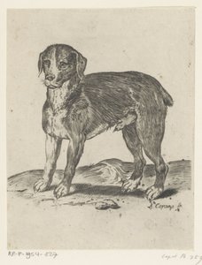stående hund af Agostino Carracci
