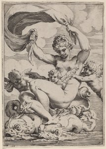 Venus eller Galatea understøttet af delfiner af Agostino Carracci