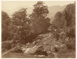 La Vallée du Lys (Coup de Vent) af Aimé Civiale