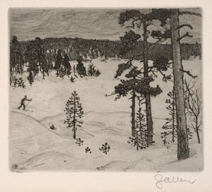 Vinterens mørke slør af Akseli Gallen-Kallela