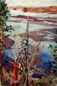 Springis, udsigt fra taget i Kalela af Akseli Valdemar Gallen-Kallela