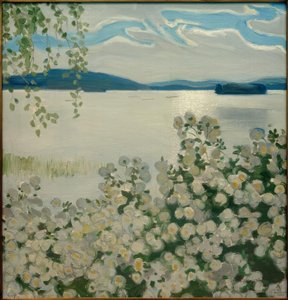 Hvide roser