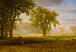 Elg i Oak Grove (Tuolumne Meadows) af Albert Bierstadt