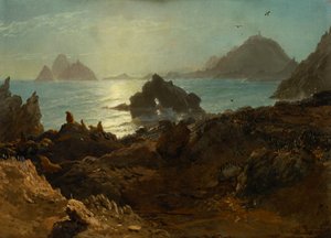 Farallon-øerne, Stillehavet, Californien af Albert Bierstadt