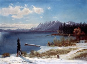 Lake Tahoe af Albert Bierstadt