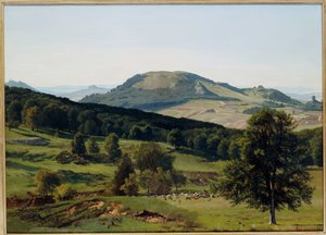 Landskab - Bakke og Dale af Albert Bierstadt