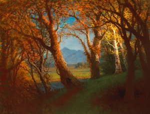 Solnedgang i Nebraska-territoriet af Albert Bierstadt