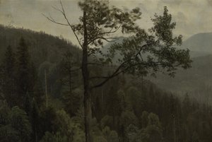 Trædækkede bjerge af Albert Bierstadt