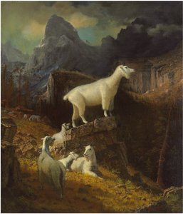 Ukendt billede af Albert Bierstadt