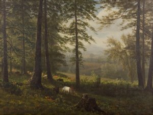 Udsigt til en lysning af Albert Bierstadt
