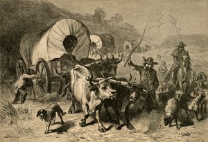 Emigration til det vestlige land, 1877. af Albert Bobbett