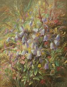 Harebells og andre skovblomster og græsser af Albert Durer Lucas