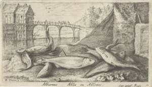 Alvers på en flodbred alburnus. Ables eller Ablettes. (titel på objekt) Fisk og andre havdyr - ferskvands anden serie (serietitel) Seconde partie de Poissons d