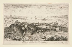 Astacus fluriatilis. L af Albert Flamen