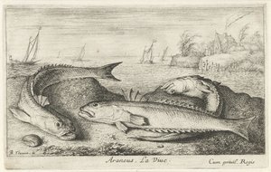 Tre plettede snudefugle på stranden Araneus. Livet. (titel på objekt) Fisk og andre havdyr - saltvands anden serie (serietitel) Poissons de mer (serietitel) af Albert Flamen