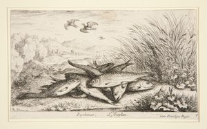 Epelanus, L af Albert Flamen