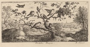 Ficedula, bullfinken af Albert Flamen