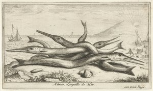 Fastgjort på stranden Admos. Lesguille de Mer. (titel på objekt) Fisk og andre havdyr - saltvands tredje serie (serietitel) Poissons de mer (serietitel) af Albert Flamen