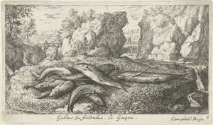 Kutlinger på en flodbred Gabius siue fundulus. Le Goujon. (titel på objekt) Fisk og andre havdyr - ferskvands anden serie (serietitel) Seconde partie de Poissons d