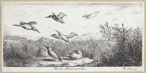 Isfuglen (Alcedo) af Albert Flamen