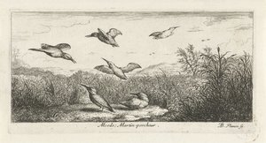 Landskab med isfugle alcedo; Martin-pecrack. (titel på objekt) Fuglebog (serietitel) Livre d