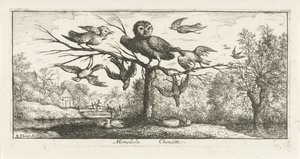 Landskab med krudtugle blandt andre fugle Monedula Chouette. (titel på objekt) Fuglebog (serietitel) Livre d