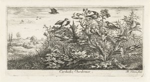 Landskab med guldfinke i tidsel Carduelis; Chardonneret. (titel på objekt) Fuglebog (serietitel) Livre d