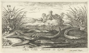 Loaches på en flodbred Apua Cobitis fluuitilis. LaLoche. (titel på objekt) Fisk og andre havdyr - ferskvands anden serie (serietitel) Seconde partie de Poissons d