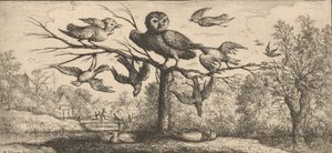 Monedula, Chouëtte Uglen: Livre d