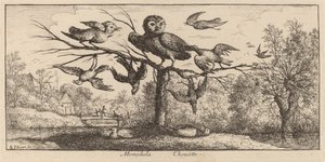 Monedula, Uglen af Albert Flamen