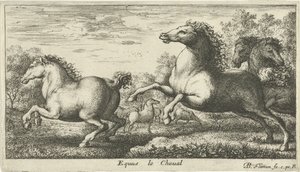 Heste Equus le Cheval (titel på objekt) Forskellige dyrearter (serietitel) af Albert Flamen