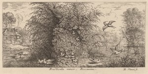 Rusticula minor, Snipe af Albert Flamen