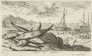 Sardiner på stranden Sarda, La Sardine. (titel på objekt) Fisk og andre havdyr - saltvands første serie (serietitel) Diverse Especes de Poissons de mer (serietitel) af Albert Flamen