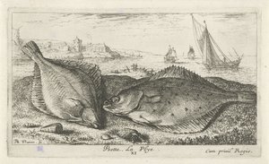 To fladfisk på stranden psetta. La Plye. (titel på objekt) Fisk og andre havdyr - saltvands anden serie (serietitel) Poissons de mer (serietitel) af Albert Flamen