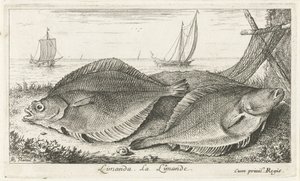 To dupper på stranden limanda. La Limande. (titel på objekt) Fisk og andre havdyr - saltvands tredje serie (serietitel) Poissons de mer (serietitel) af Albert Flamen