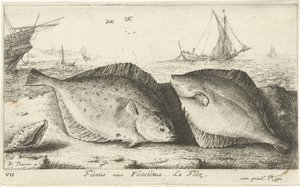 To rødspætter på stranden Flesus siue Fleteletus. La flez. (titel på objekt) Fisk og andre havdyr - saltvands første serie (serietitel) Diverse Especes de Poissons de mer (serietitel) af Albert Flamen