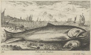 To laks på stranden Salmo. Le Saulmon (titel på objekt) Fisk og andre havdyr - saltvands første serie (serietitel) Diverse Especes de Poissons de mer (serietitel) af Albert Flamen