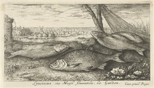 Fire skaller i et fiskenet Leuciscus siue Mugil fluuiatilus. Le Gardon. (titel på objekt) Fisk og andre havdyr - ferskvands første serie (serietitel) Diverse Especes de Poissons d