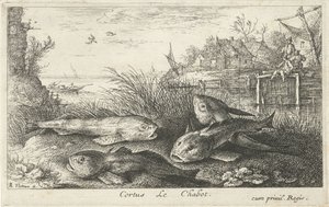Fire chubs på en flodbred Cortus LeChabot. (titel på objekt) Fisk og andre havdyr - ferskvands anden serie (serietitel) Seconde partie de Poissons d