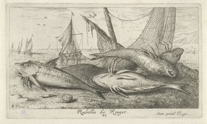 Fire røde multer på stranden Rubellio Le Rouget. (titel på objekt) Fisk og andre havdyr - saltvands anden serie (serietitel) Poissons de mer (serietitel) af Albert Flamen