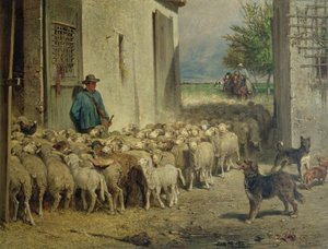 Vend tilbage til fårefolden, 1860