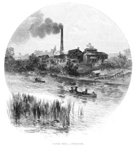 Papirfabrik, Liverpool, New South Wales, Australien, 1886.