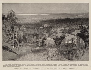 Fåreavl i Australien, en modelstation nær Ballarat