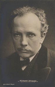 Portræt af den musikalske komponist, Richard Strauss (s/h foto) af Albert Meyer