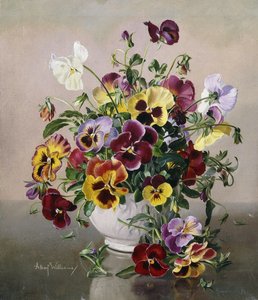 Et stilleben med stedmoderblomster af Albert Williams