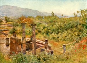 Udsigt fra Pompeji af Alberto Pisa